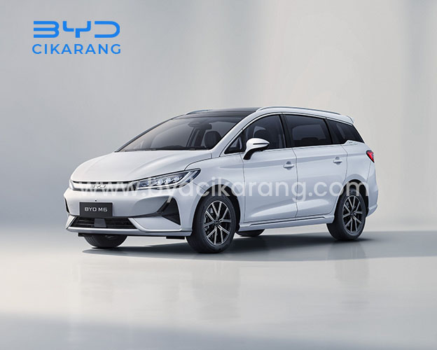 BYD M6